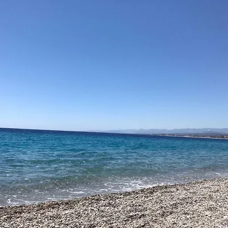 Daire La Di Nicola *